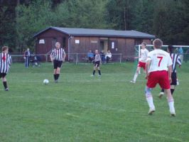 bild15 bild15