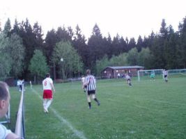 bild7 bild7