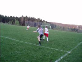 bild8 bild8
