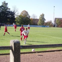 bild002 bild002