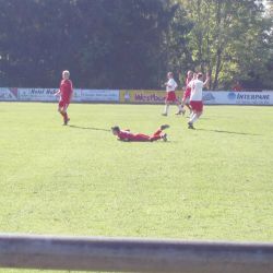 bild008 bild008