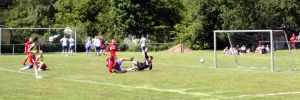 bild6 bild6